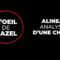 ALINEA : ANALYSE D’UNE CHUTE